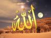 الصورة الرمزية هدايه