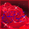 الصورة الرمزية شب صفافي