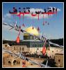 الصورة الرمزية قيس