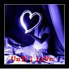الصورة الرمزية UnTi | LoVe