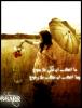 الصورة الرمزية جبااار