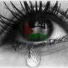 الصورة الرمزية الجرح النازف