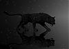 الصورة الرمزية BLACK TIGGER