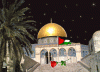 الصورة الرمزية محمد علي عطية