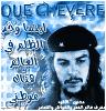 الصورة الرمزية 137