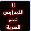 الصورة الرمزية امير