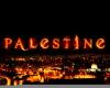 الصورة الرمزية Palestine Rose