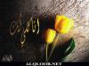 الصورة الرمزية raghad