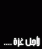 الصورة الرمزية Reham
