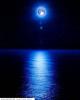 الصورة الرمزية DaRk_AnGeL