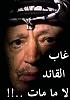 الصورة الرمزية 3loosh
